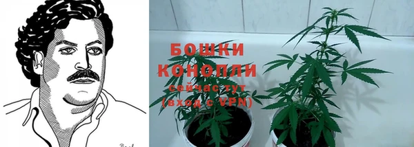 спиды Арсеньев