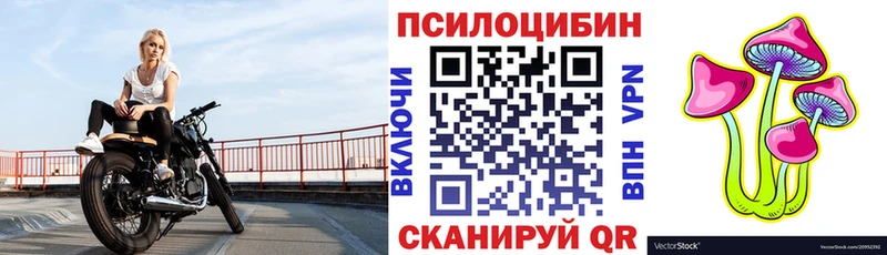 Псилоцибиновые грибы прущие грибы  сайты даркнета состав  Оханск 